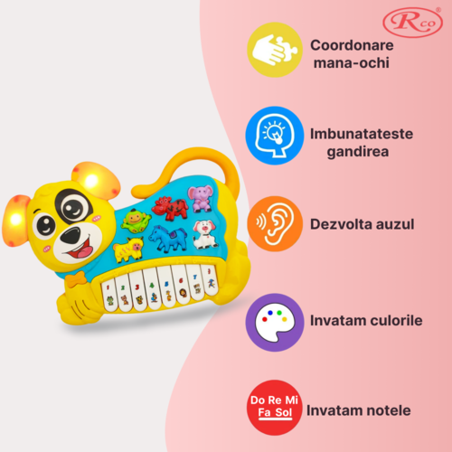 Jucarie Educativa, Mini Orga Catelus RCO, 19x28x4 cm, +12 luni