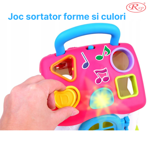 Jucarie Educativa, Casuta cu sortator de forme si culori RCO, 19.5x17.5x15 cm, +18 luni