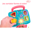 Jucarie Educativa, Casuta cu sortator de forme si culori RCO, 19.5x17.5x15 cm, +18 luni