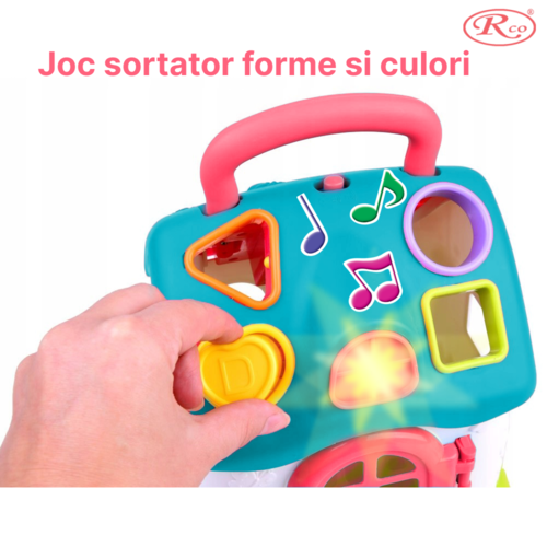 Jucarie Educativa, Casuta cu sortator de forme si culori RCO, 19.5x17.5x15 cm, +18 luni